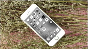 Cách bật màn hình đen trắng cho iPhone cực đơn giản