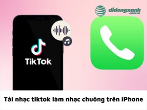 Hướng dẫn tải nhạc Tiktok làm nhạc chuông trên iPhone cho iFan